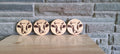 Wood-Burned Cow Coasters (Set of 4)